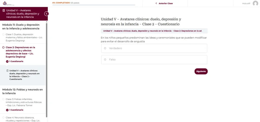 Desarrollo academia Image 4